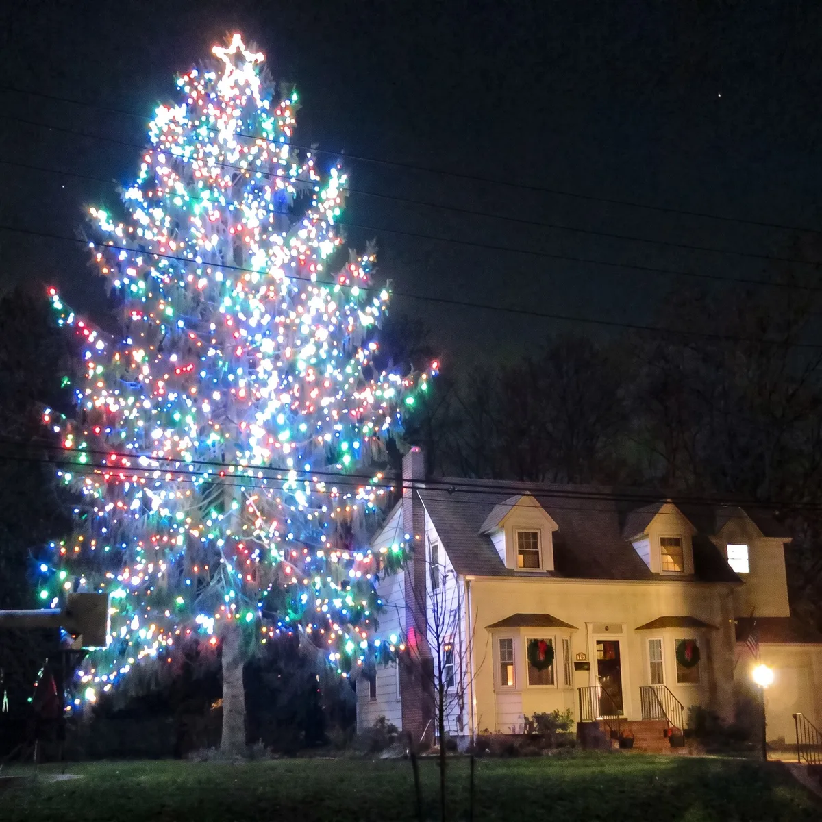 Very tall evergreen covered in multicolor lights beside a house