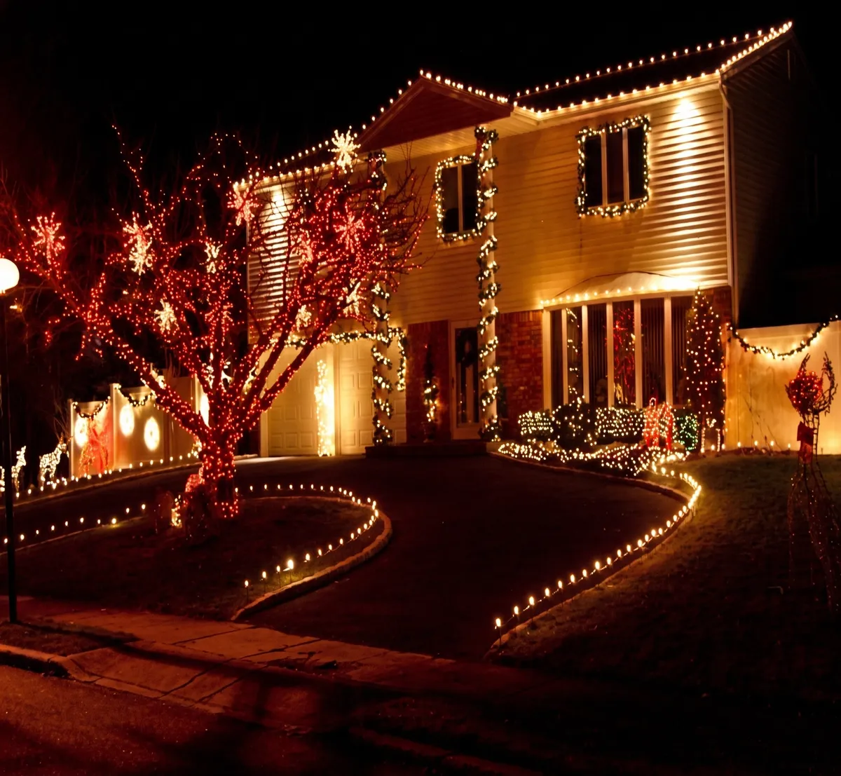 Front yard with red-wrapped trees and a curved path lined with lights